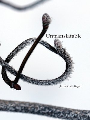 cover image of Untranslatable